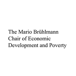 The Mario Bruhlmann